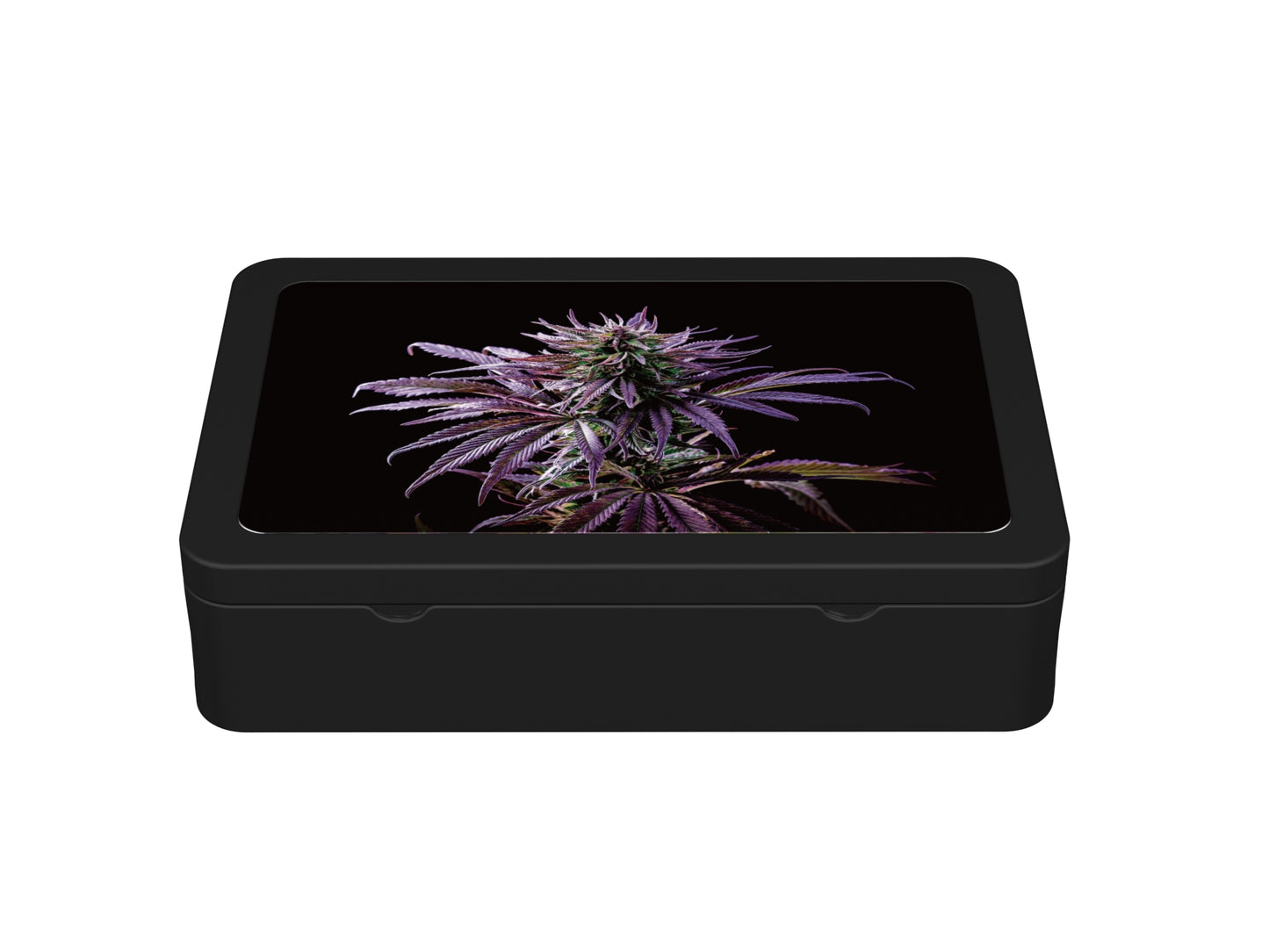 BLUEBERRY KUSH CANNACAN