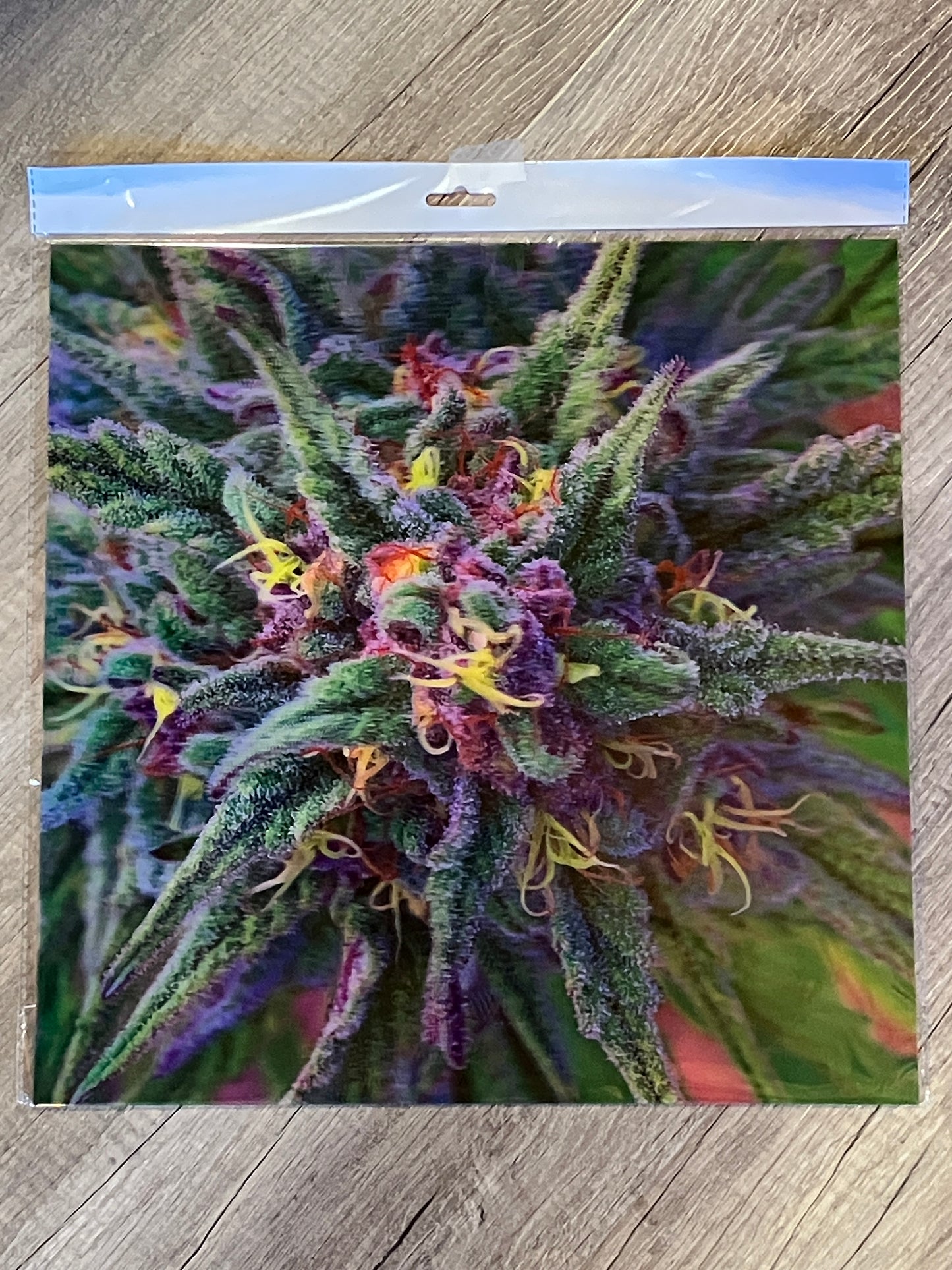 CANNA CRYSTAL / GRANDDADDY PURP 3D LENTICULAR FLAT ART 14" X 14"