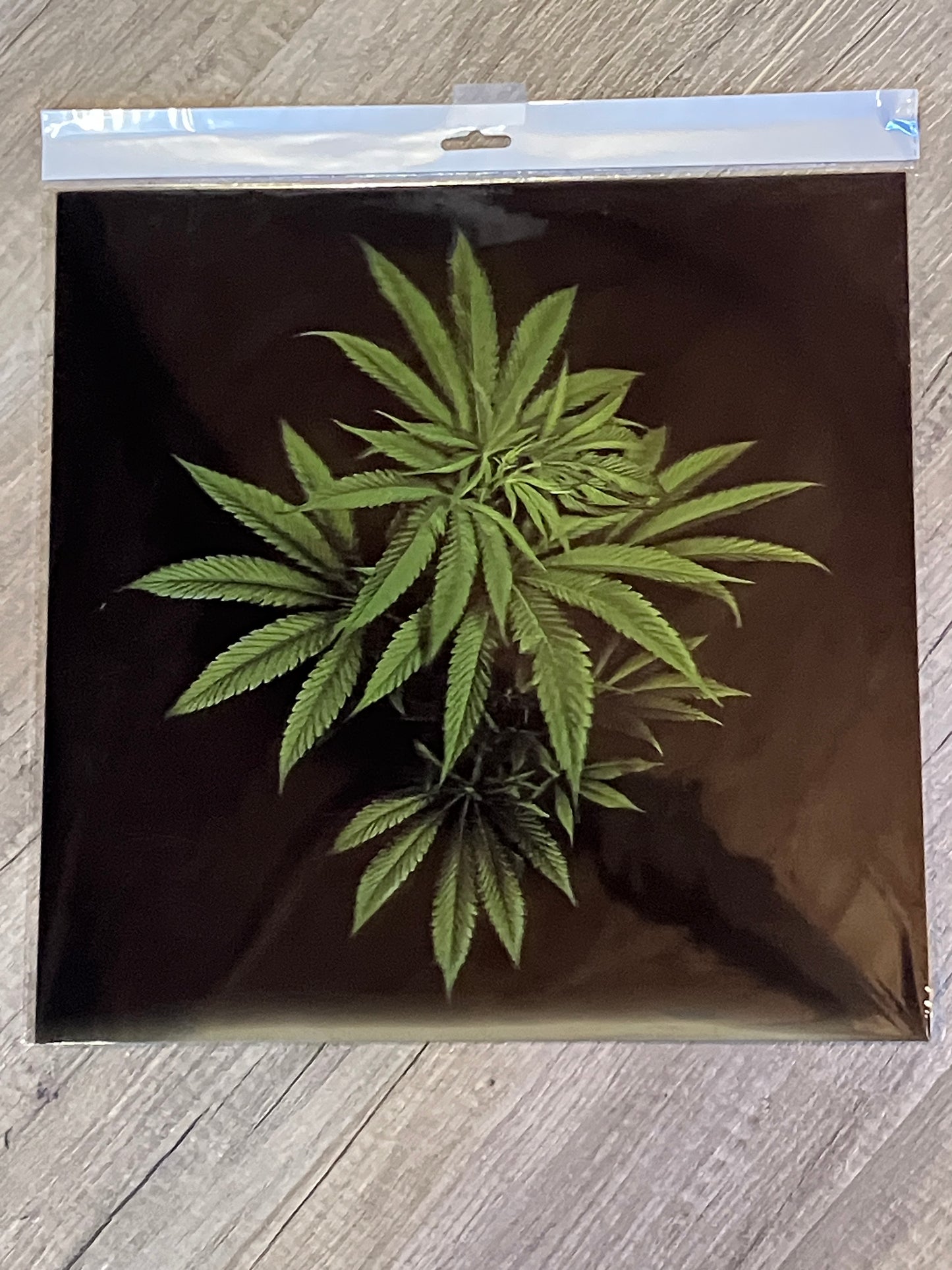 LEAVES GREEN 3D LENTICULAR FLAT ART 14" X 14"