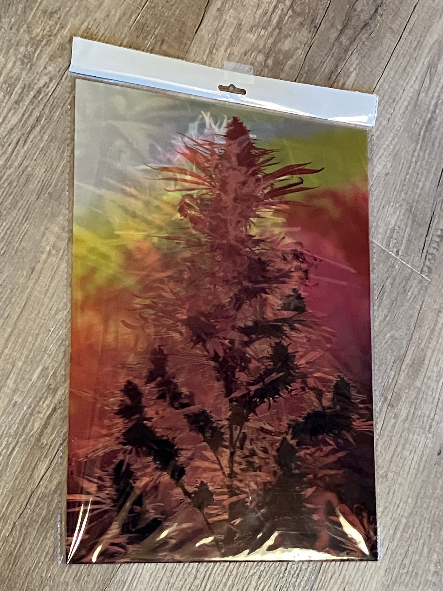 BUD VERTICAL 3D LENTICULAR FLAT ART 12" X 16"