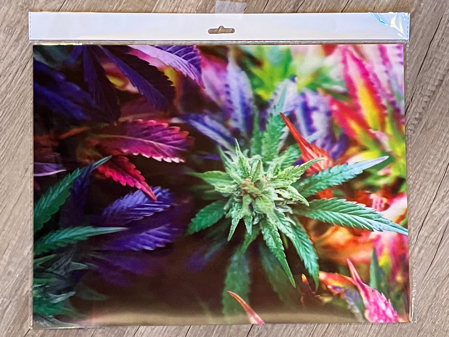 GARDEN DELIGHT (GELATO) 3D LENTICULAR FLAT ART 12" X 16"