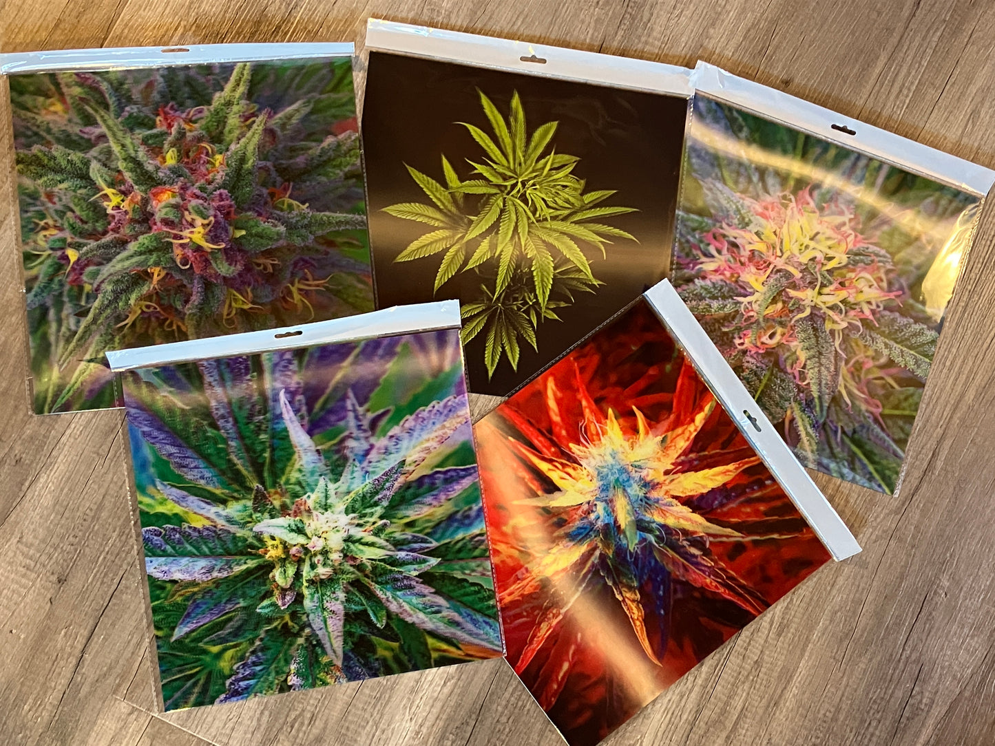 GARDEN DELIGHT (GELATO) 3D LENTICULAR FLAT ART 12" X 16"