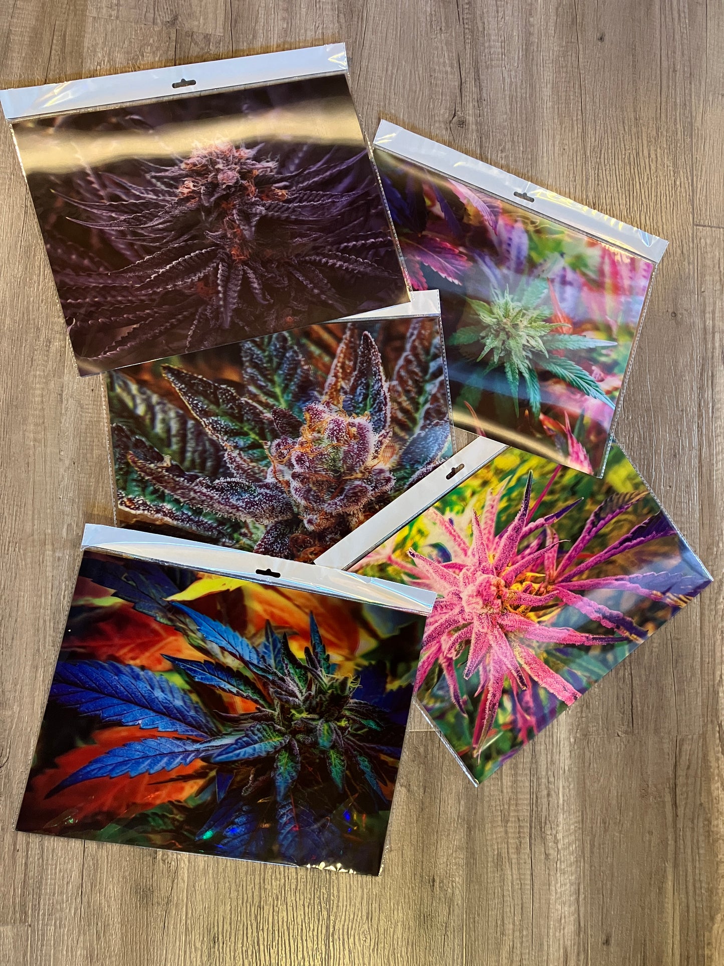 BUD VERTICAL 3D LENTICULAR FLAT ART 12" X 16"