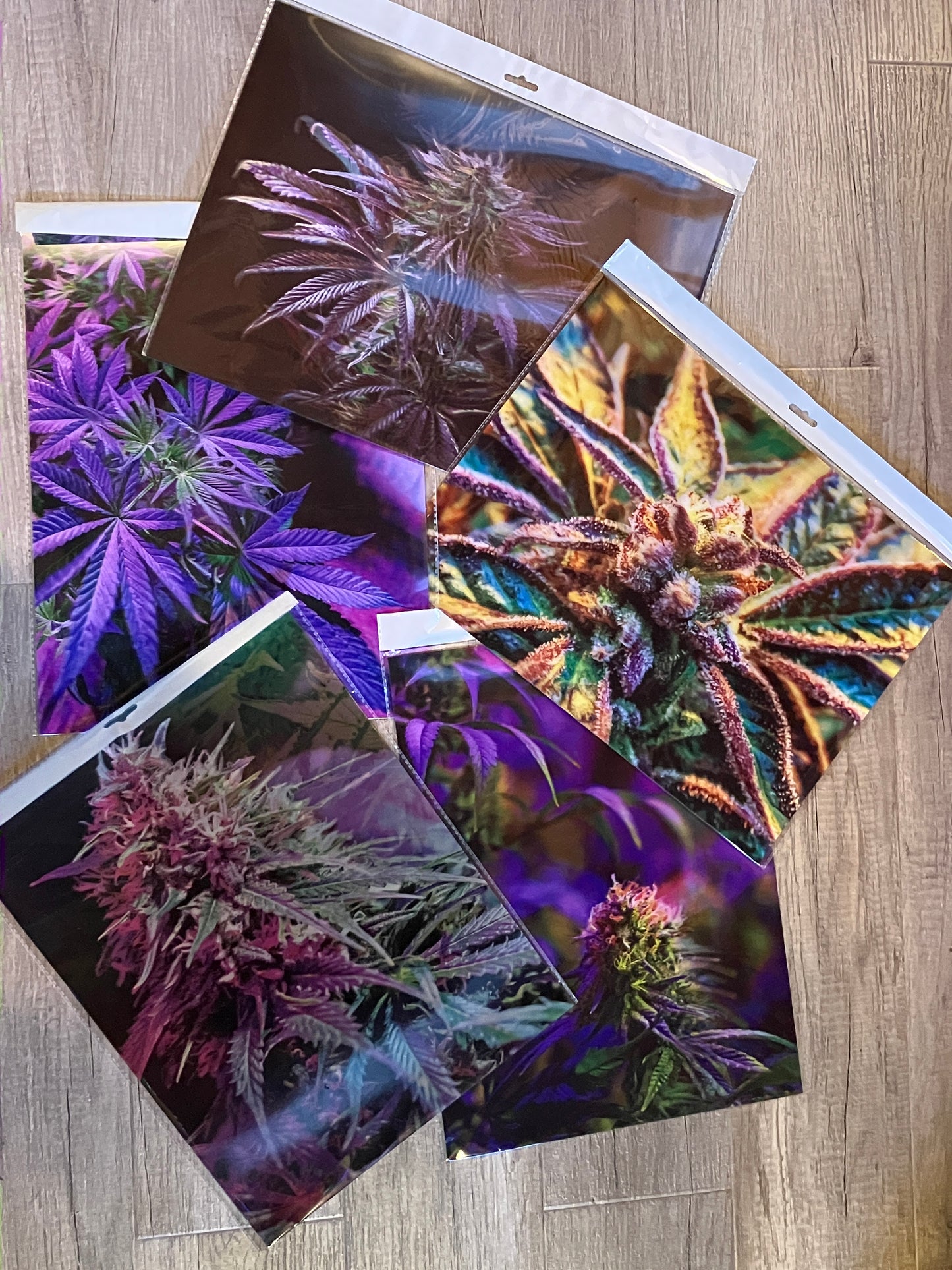 GARDEN DELIGHT (GELATO) 3D LENTICULAR FLAT ART 12" X 16"