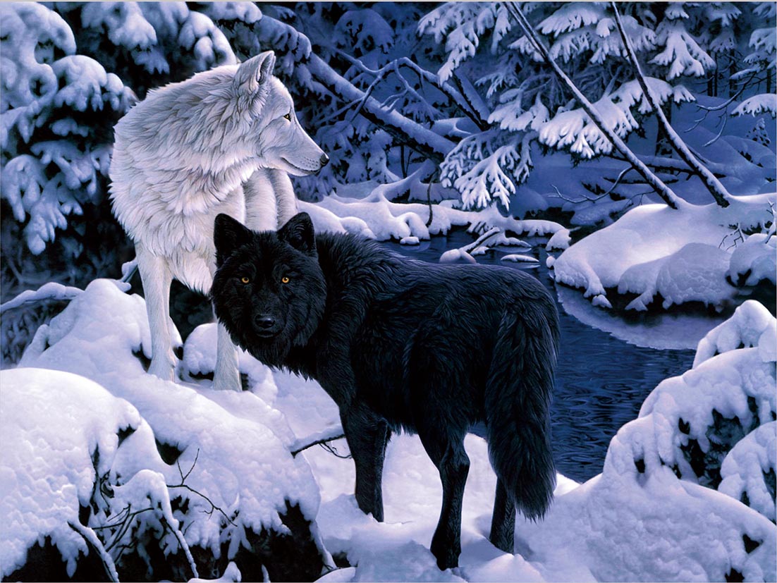 WOLF/SLED DOG TEAM 3D LENTICULAR INTERNALLY FRAMED 14" X 18" PICTURE