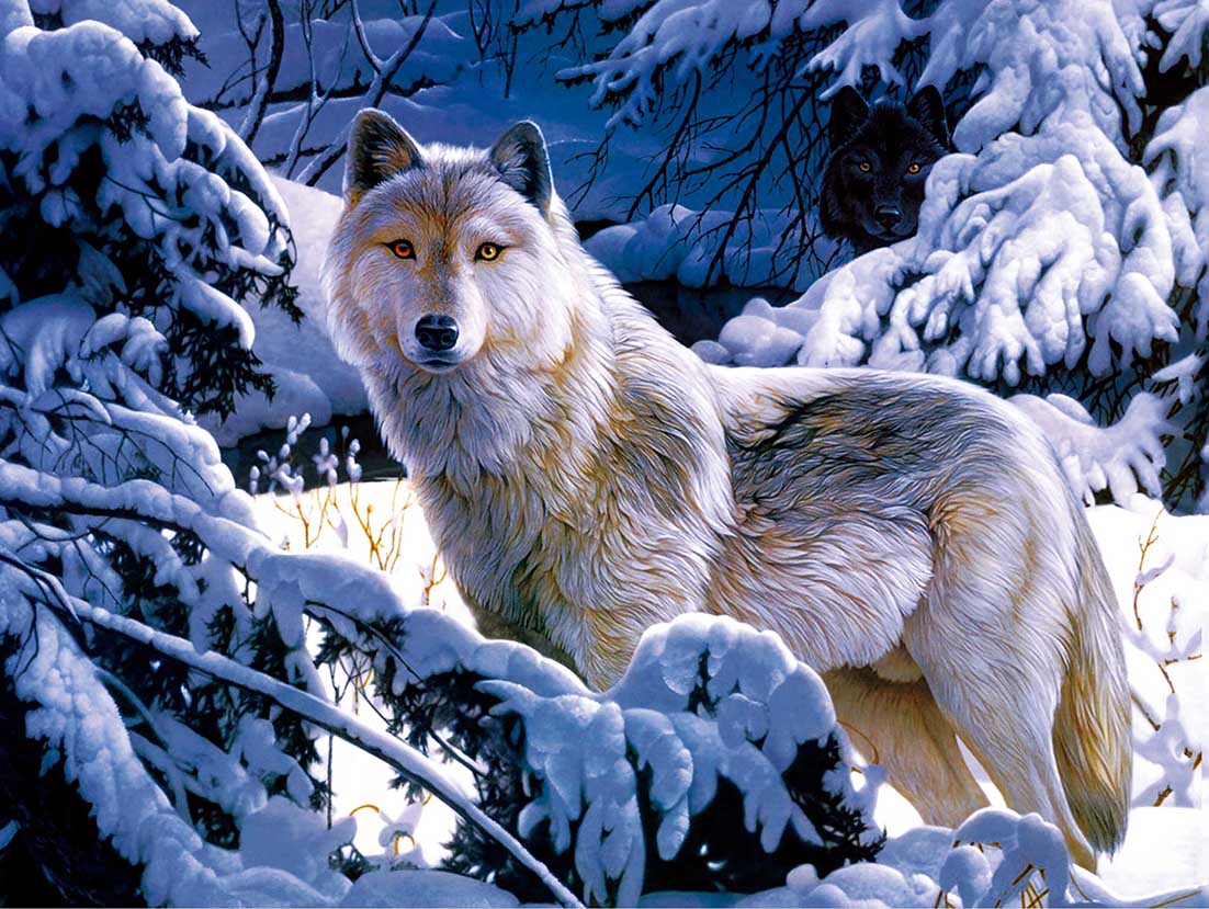 WOLF/SLED DOG TEAM 3D LENTICULAR INTERNALLY FRAMED 14" X 18" PICTURE