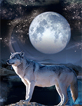 MOON WOLF 3D LENTICULAR FLAT 12" X 16"