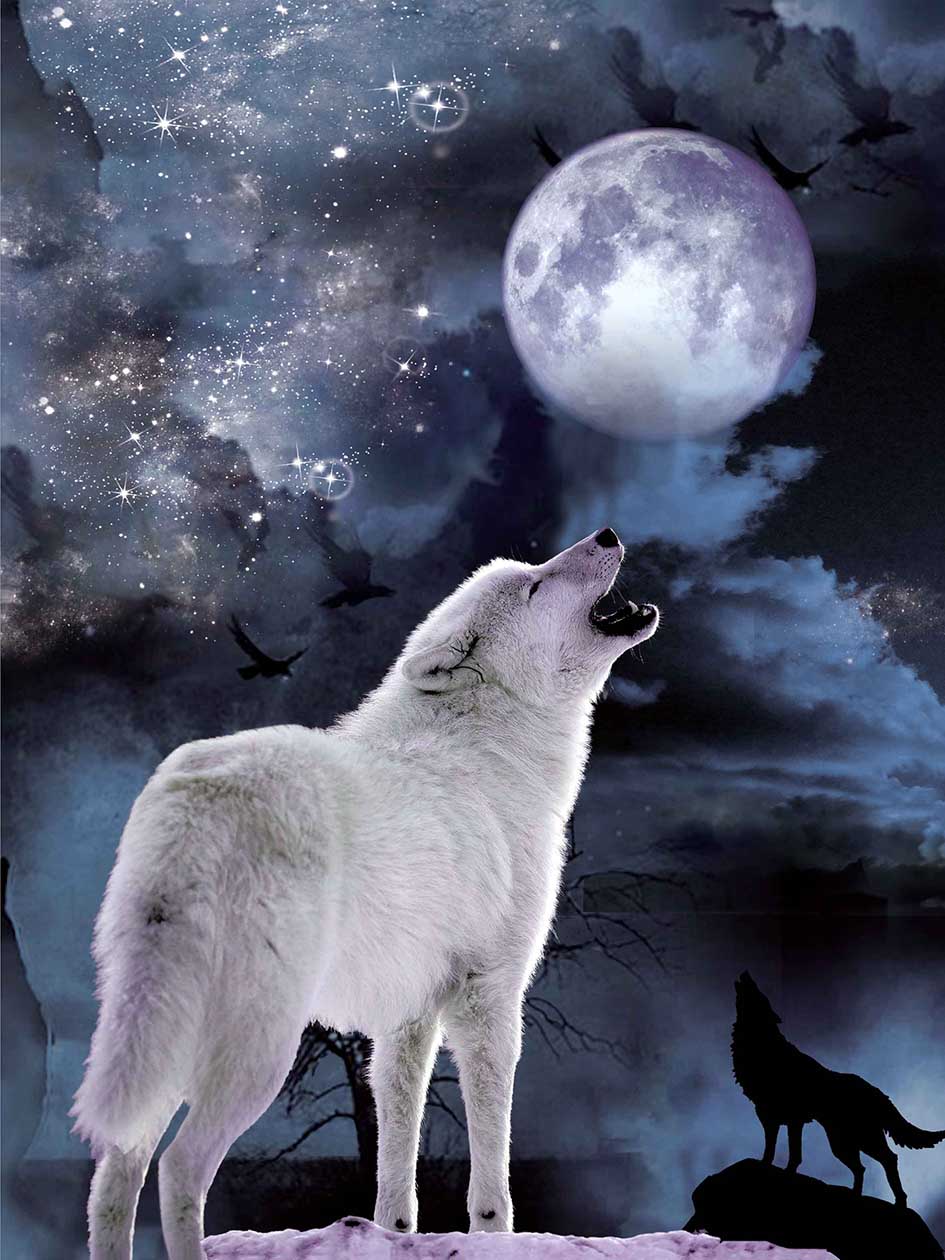 MOON WOLF 3D LENTICULAR FLAT 12" X 16"