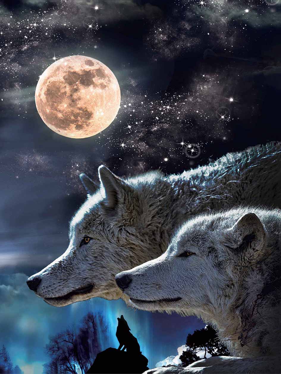 MOON WOLF 3D LENTICULAR FLAT 12" X 16"