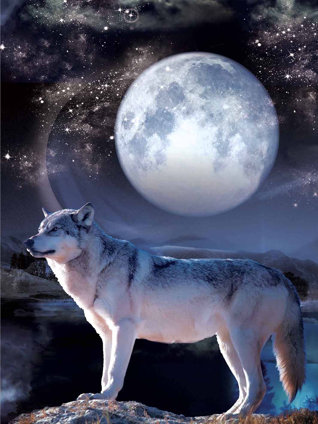 MOON WOLF 3D LENTICULAR FLAT 12" X 16"