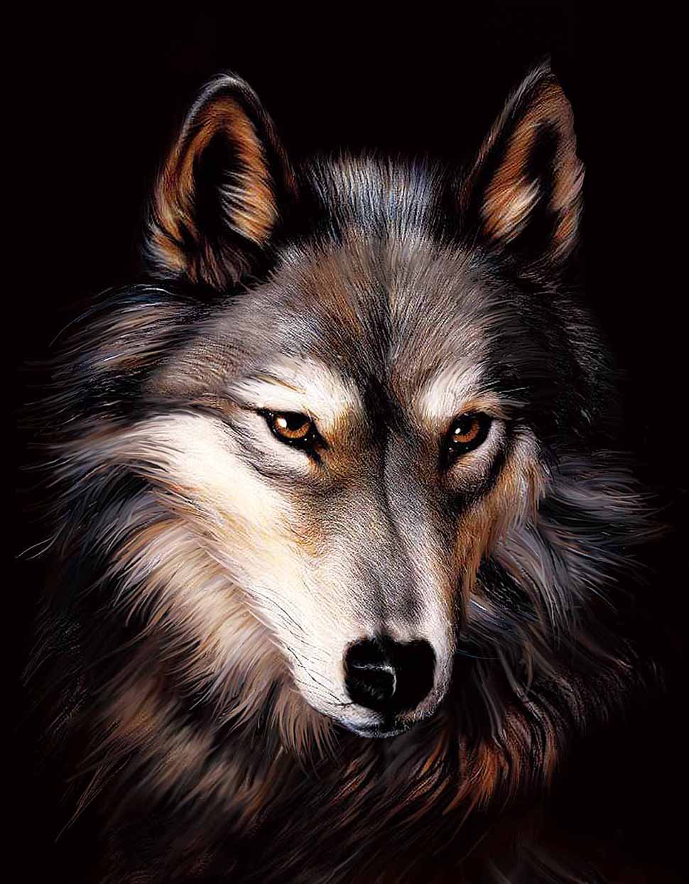 WOLF FACE 3D LENTICULAR FLAT 5" X 7"