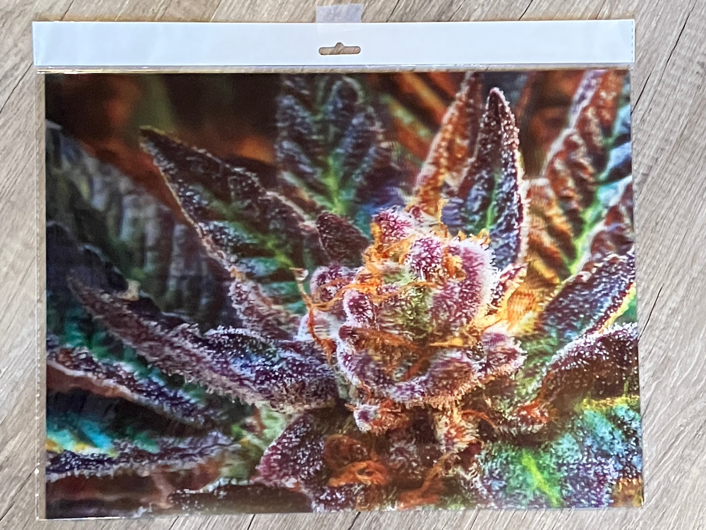 SLURRY CRASHER TRICHOMES 3D LENTICULAR FLAT ART 12" X 16"