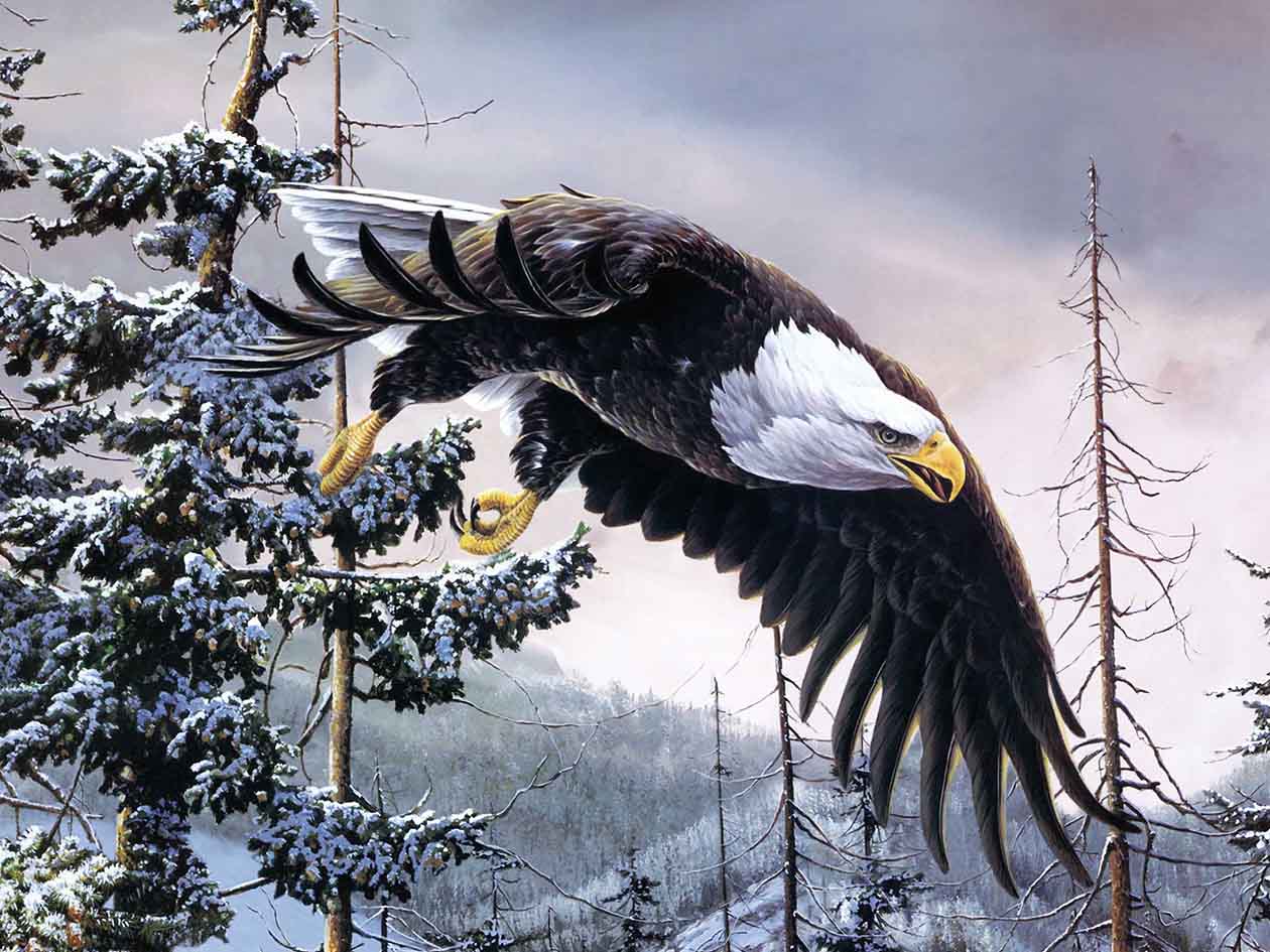 EAGLE 3D LENTICULAR INTERNALLY FRAMED ART 14" X 18"