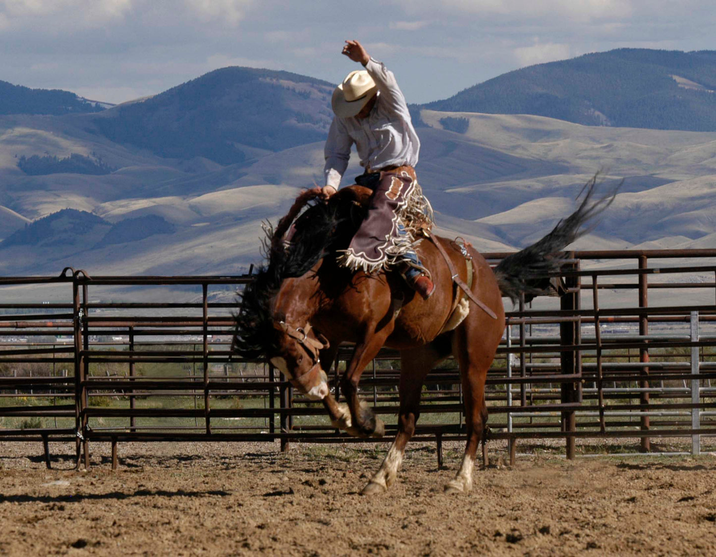 RODEO SCENES 3D LENTICULAR INTERNALLY FRAMED ART 14" X 18"