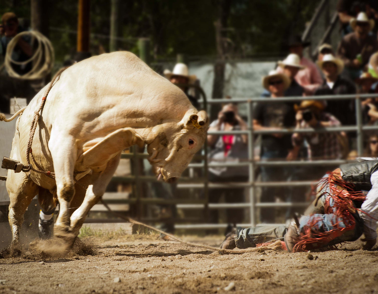 RODEO SCENES 3D LENTICULAR INTERNALLY FRAMED ART 14" X 18"