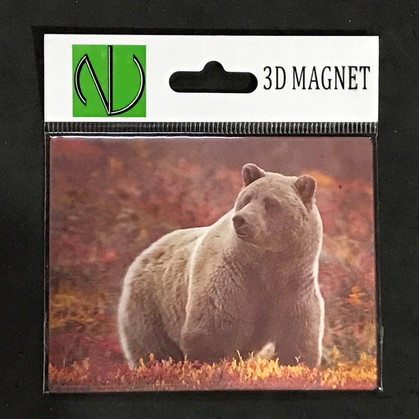 GRIZZLY BEAR MALE IN FALL FOLIAGE 3D LENTICULAR MAGNET 2.75" X 3.5"