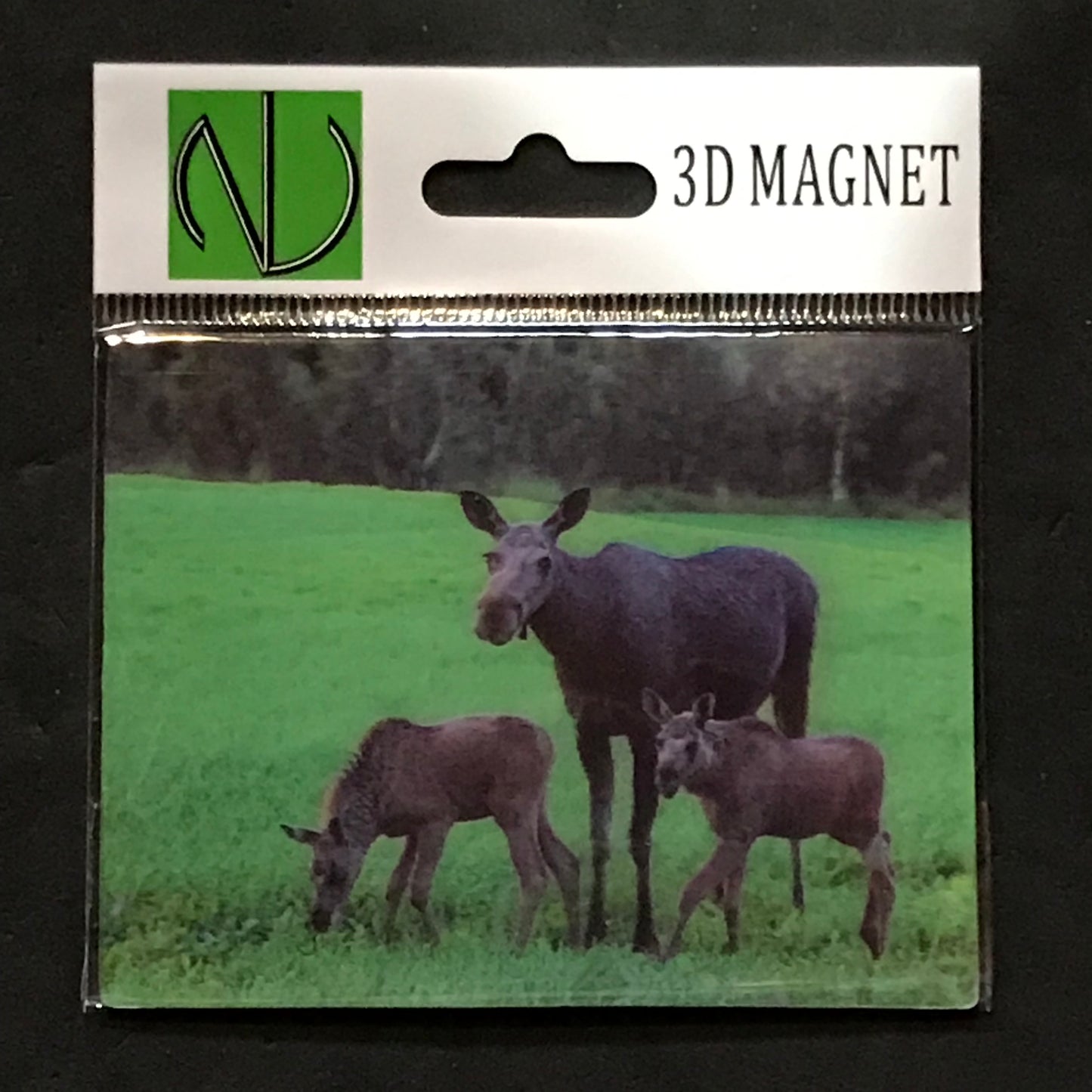 MOOSE COW & CALVES 3D LENTICULAR MAGNET 2.75" X 3.5"