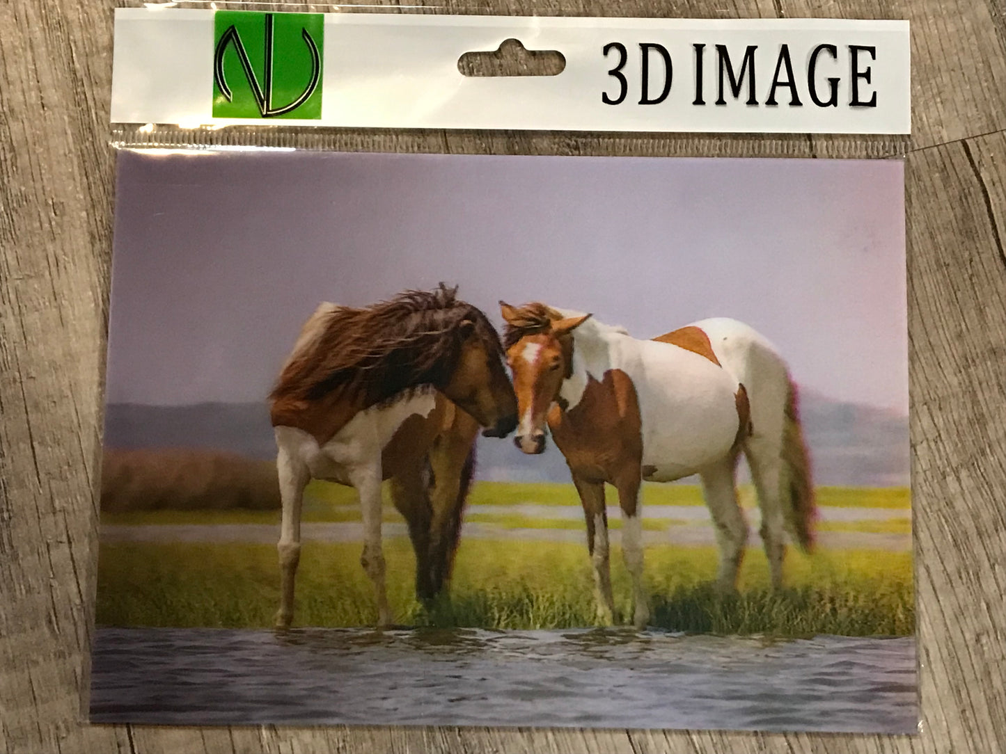 HORSES WILD PAINT COUPLE 3D LENTICULAR FLAT 5" X 7"