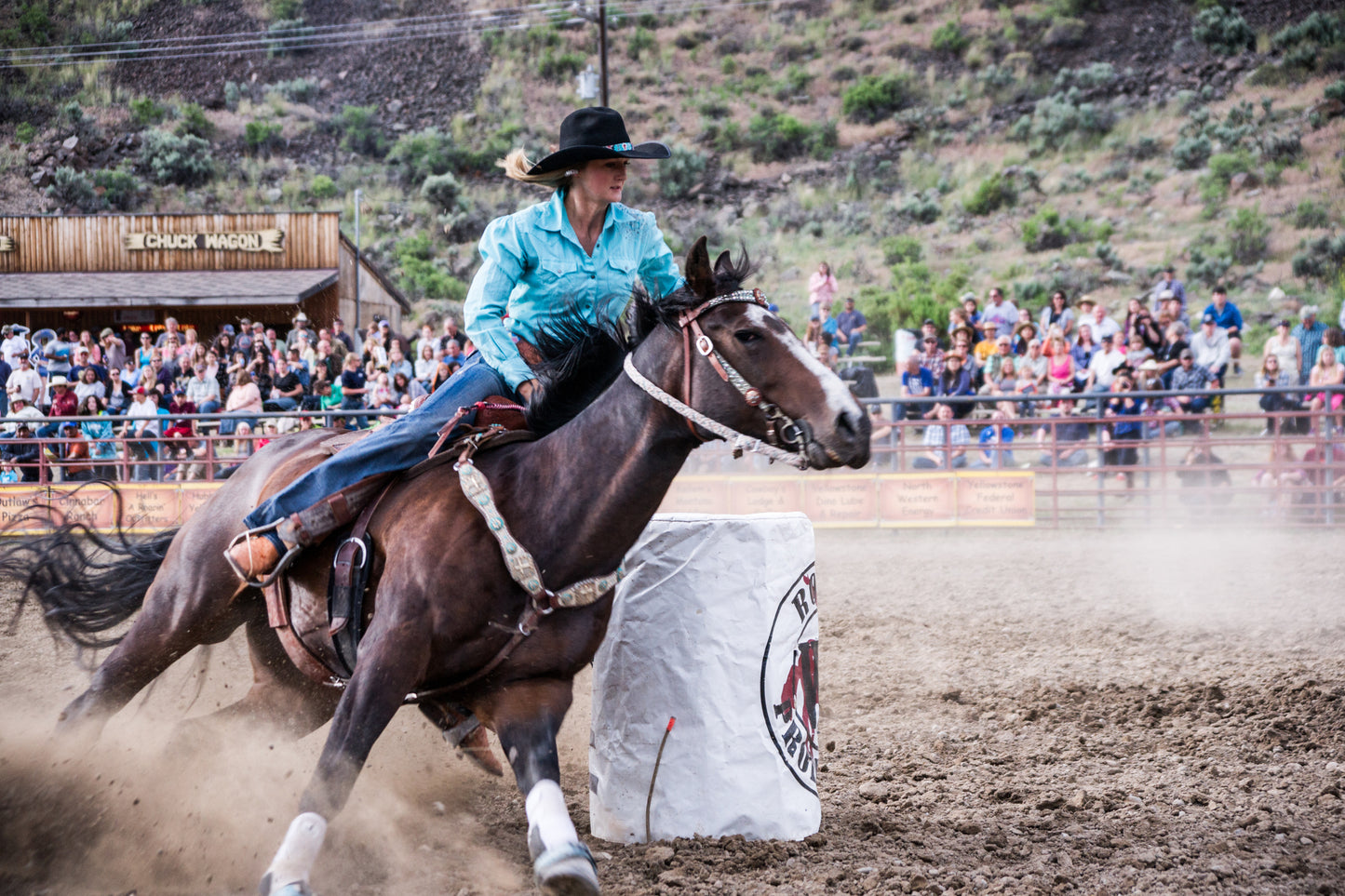 RODEO SCENES 3D LENTICULAR INTERNALLY FRAMED ART 14" X 18"